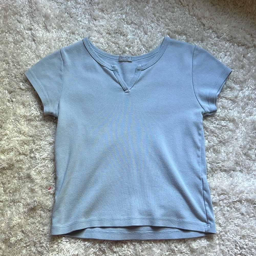 Brandy Melville Cropped T Shirt